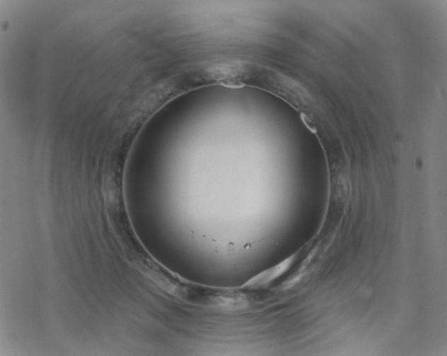 X0000070360317200606091038