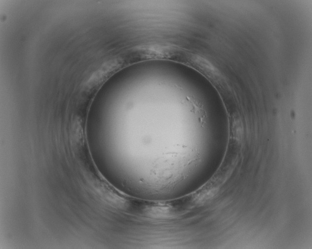 X0000070360318200606091038