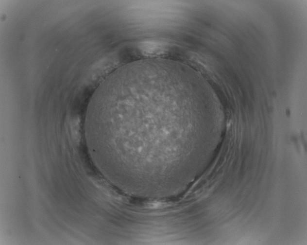 X0000070360319200606091038