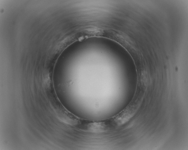 X0000070360320200606091038