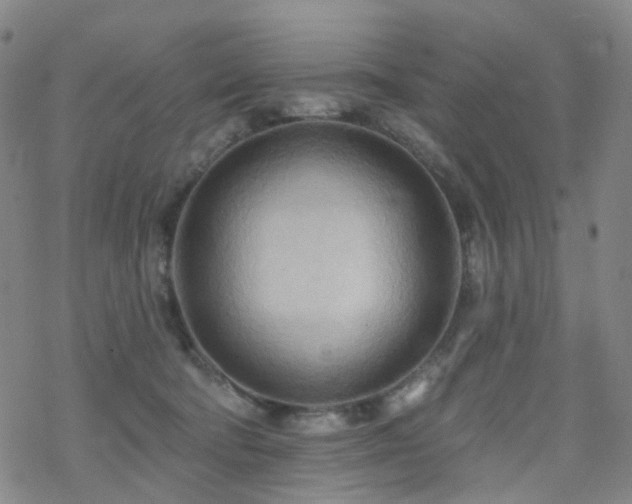 X0000070360322200606091038