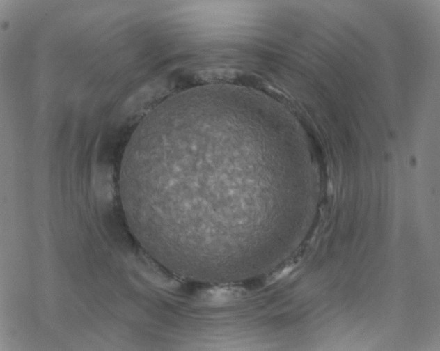 X0000070360323200606091038