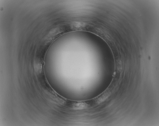 X0000070360324200606091038