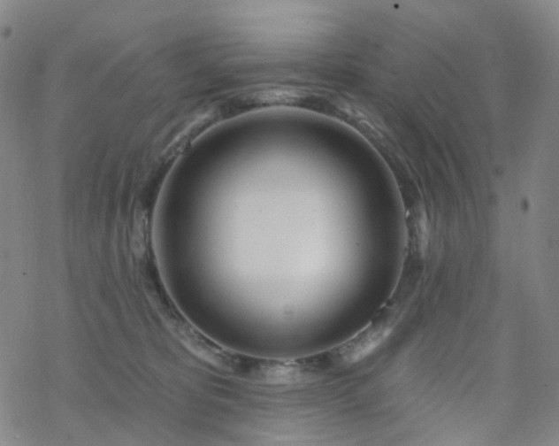 X0000070360325200606091038