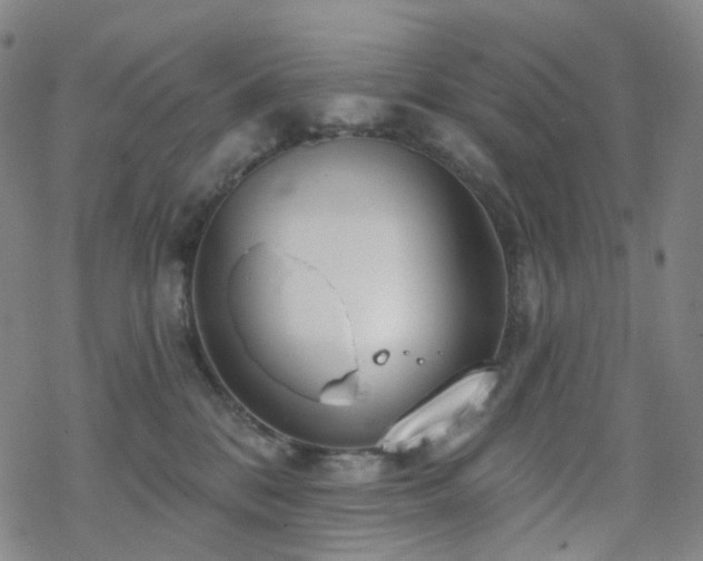 X0000070360328200606091038