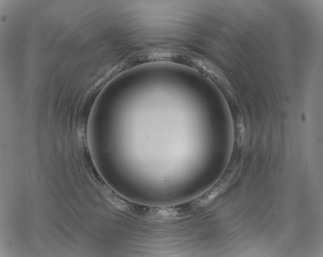 X0000070360329200606091038