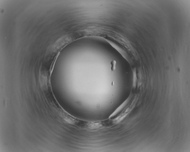 X0000070360333200606091038