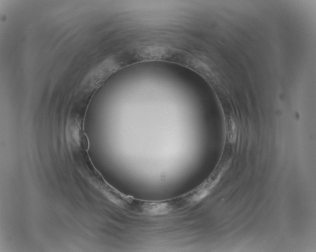 X0000070360334200606091038