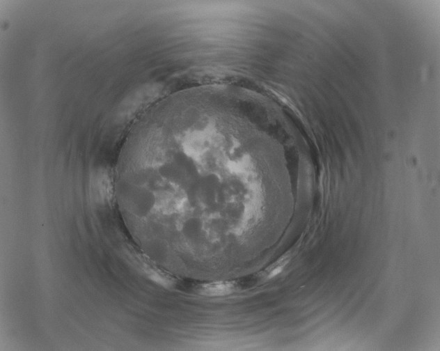 X0000070360335200606091038