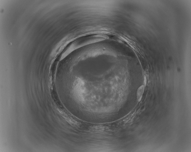 X0000070360339200606091037