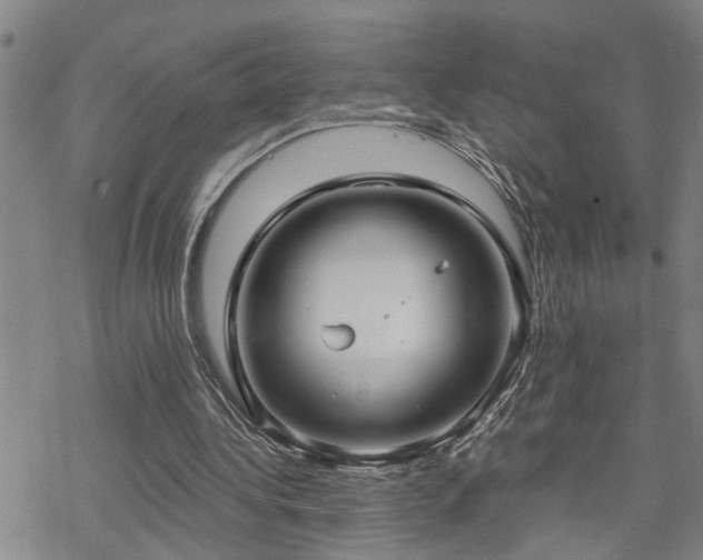 X0000070360340200606091037