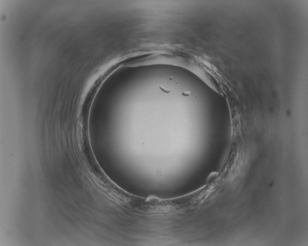 X0000070360342200606091037