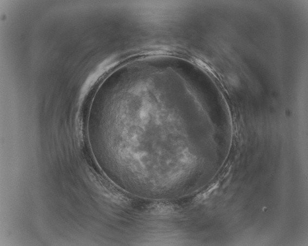 X0000070360343200606091037