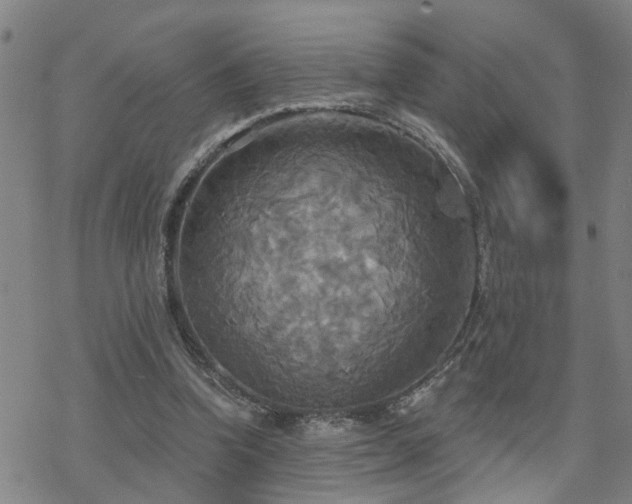 X0000070360346200606091037