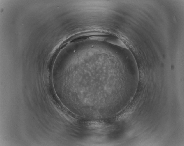 X0000070360347200606091037