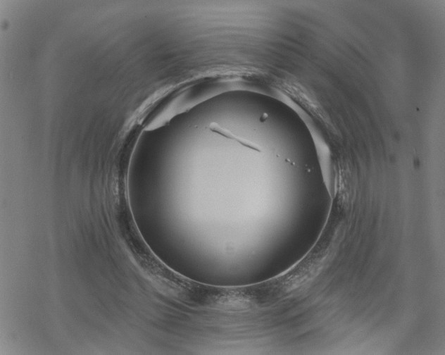 X0000070360348200606091037