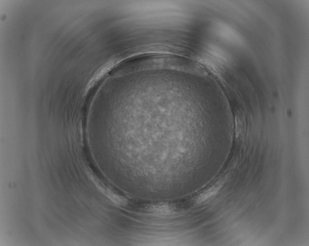 X0000070360349200606091037