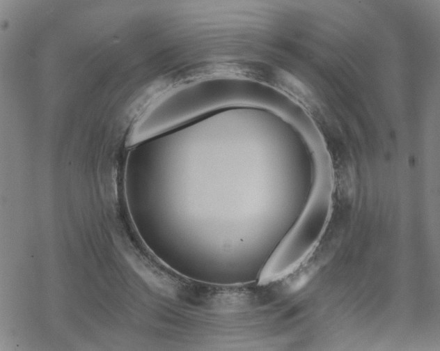 X0000070360350200606091037