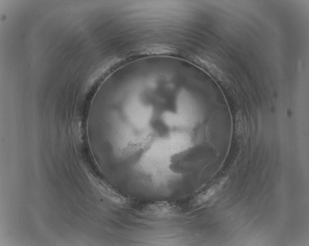 X0000070360351200606091037