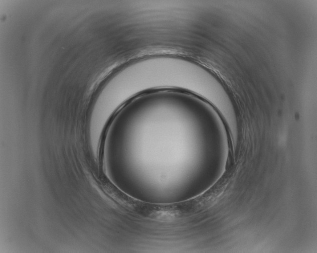 X0000070360352200606091037