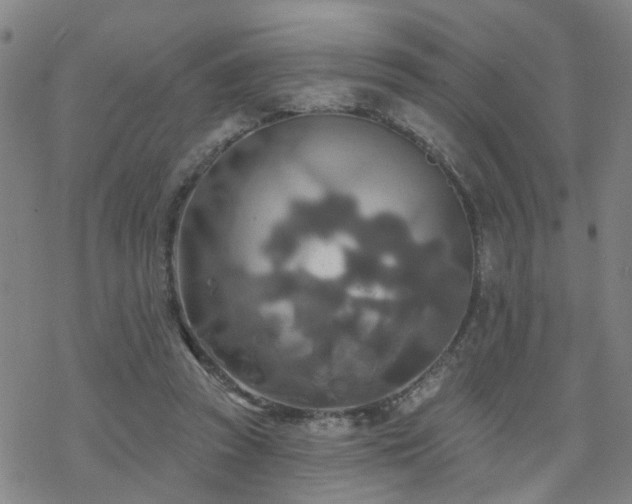 X0000070360353200606091037