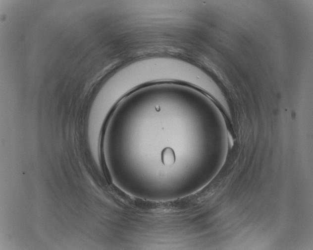 X0000070360356200606091037