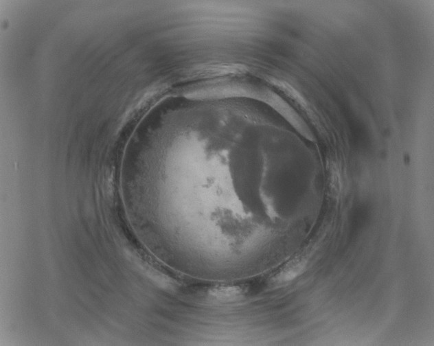 X0000070360357200606091037