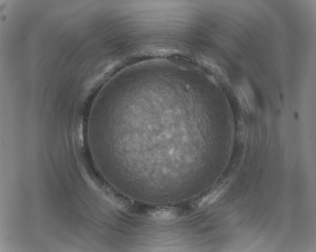 X0000070360358200606091037