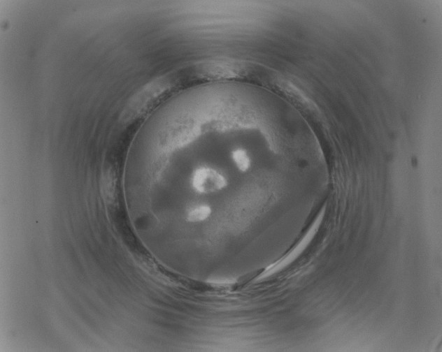 X0000070360359200606091037