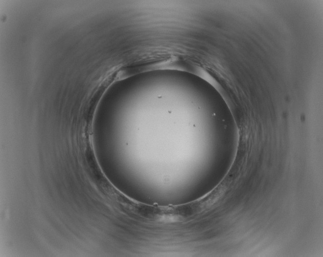 X0000070360360200606091037