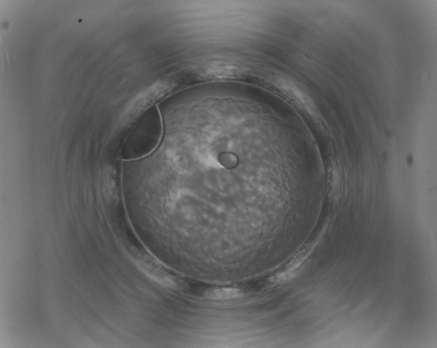 X0000070360361200606091037