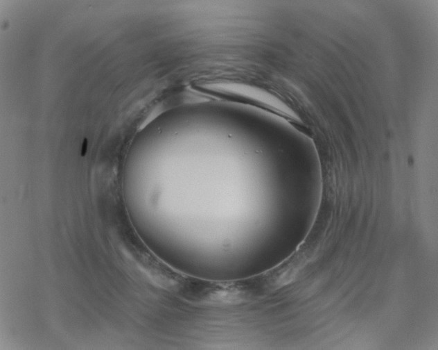 X0000070360364200606091037