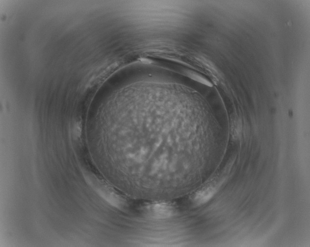 X0000070360365200606091037