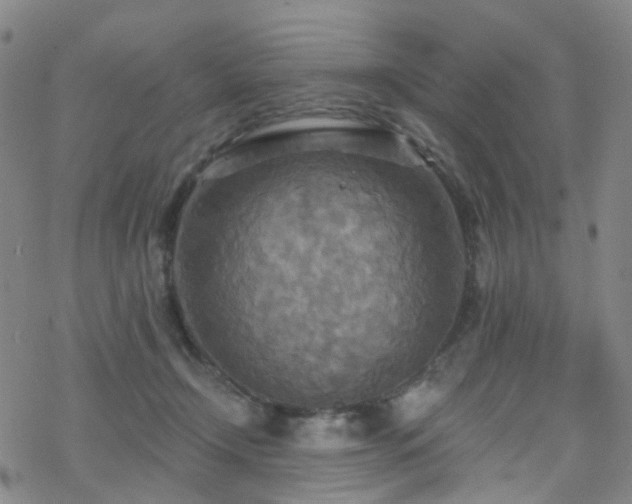 X0000070360366200606091037