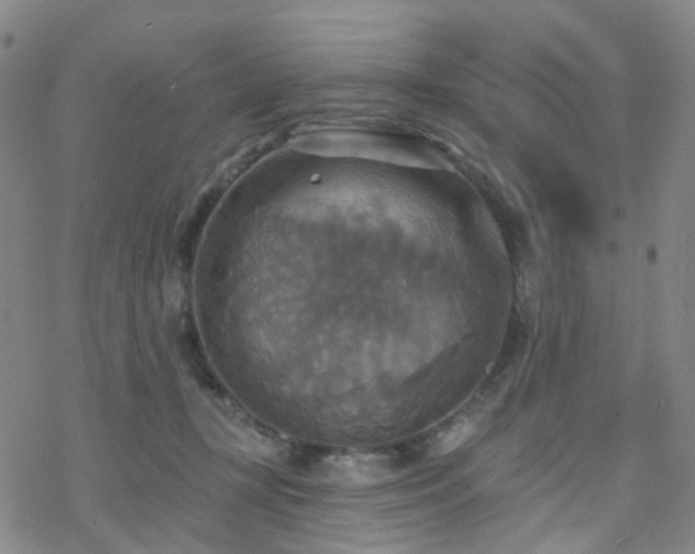 X0000070360367200606091037