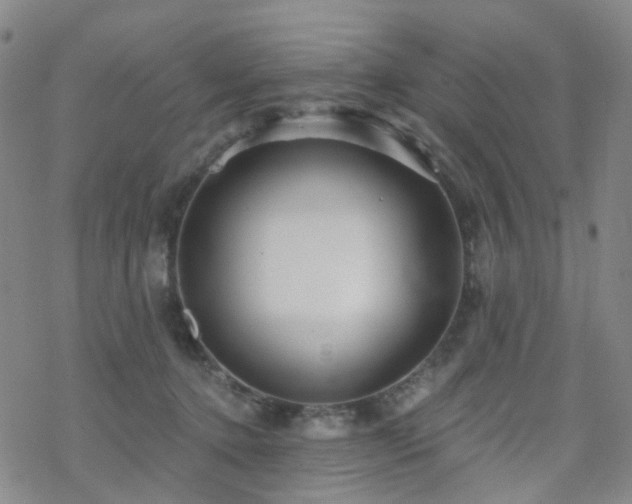 X0000070360368200606091037