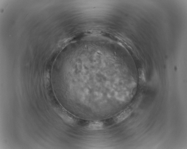 X0000070360369200606091037