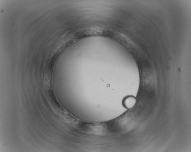 X0000070360370200606091037