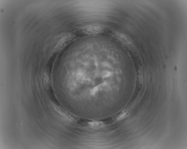 X0000070360371200606091037