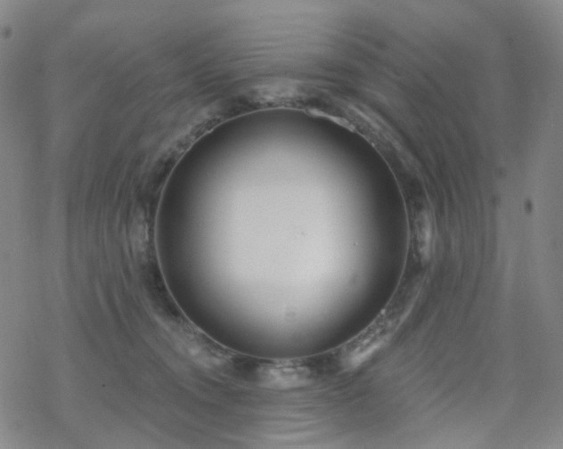 X0000070360372200606091037