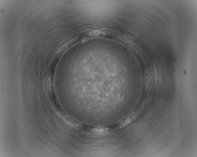 X0000070360375200606091037