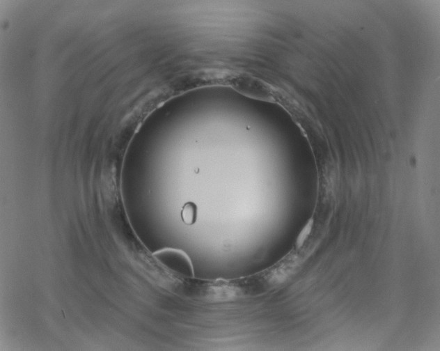 X0000070360376200606091037