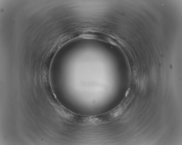 X0000070360379200606091038