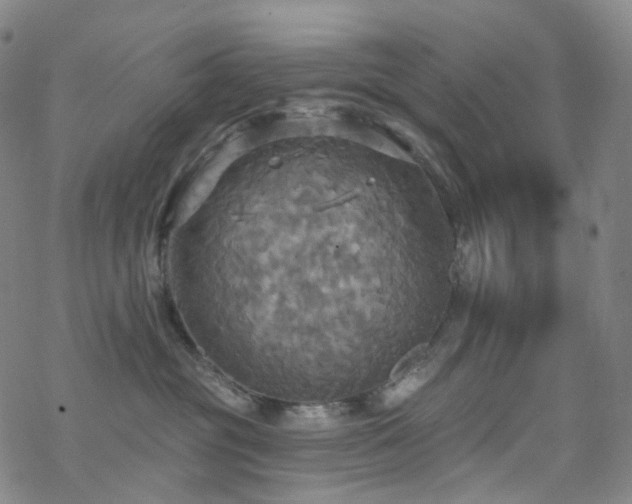 X0000070360381200606091038