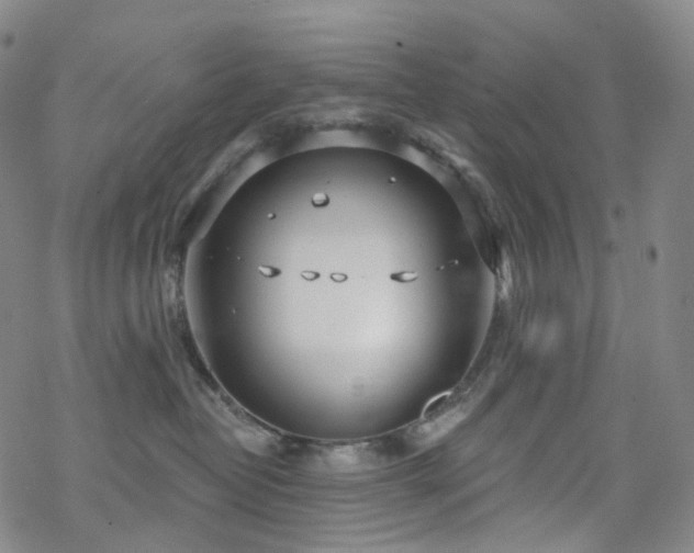 X0000070360382200606091038