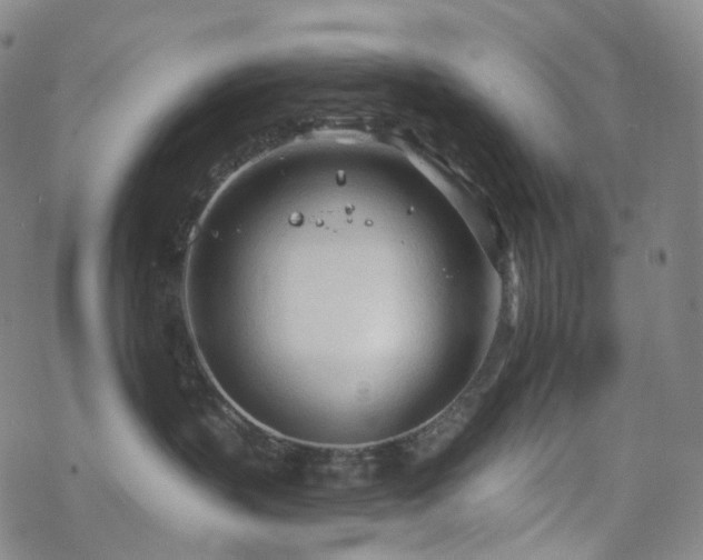 X0000070360383200606091038