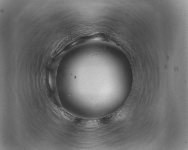 X0000070360384200606091038