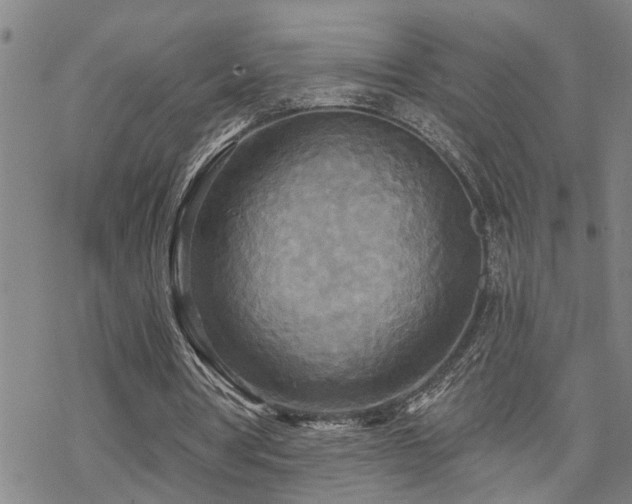 X0000070360386200606091037