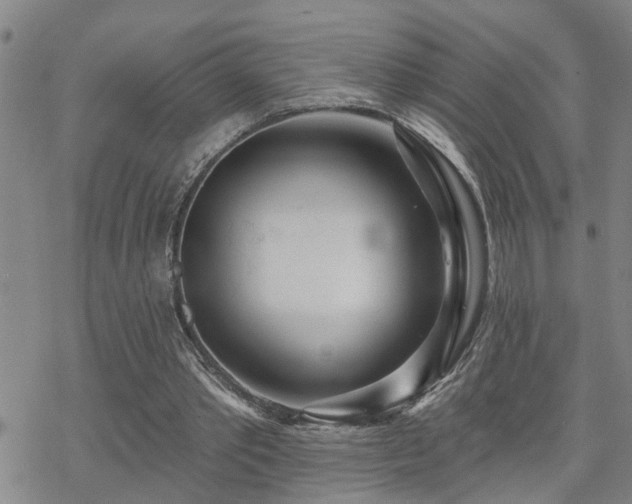 X0000070360389200606091037