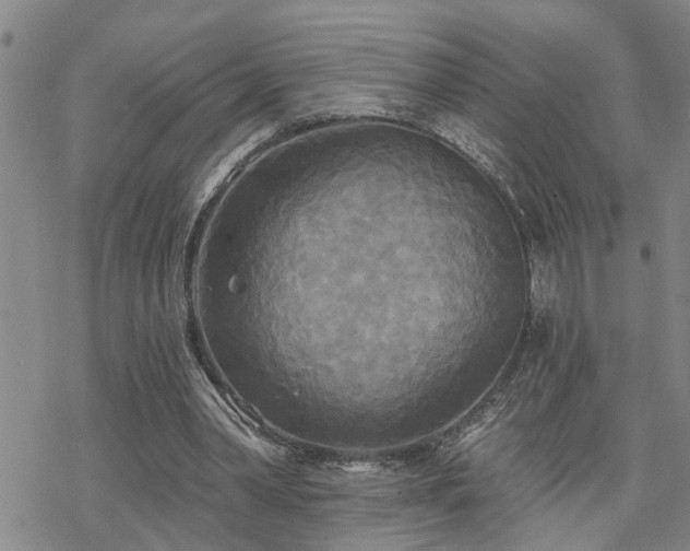 X0000070360390200606091037